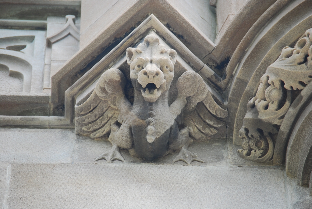 DSC_1100.JPG